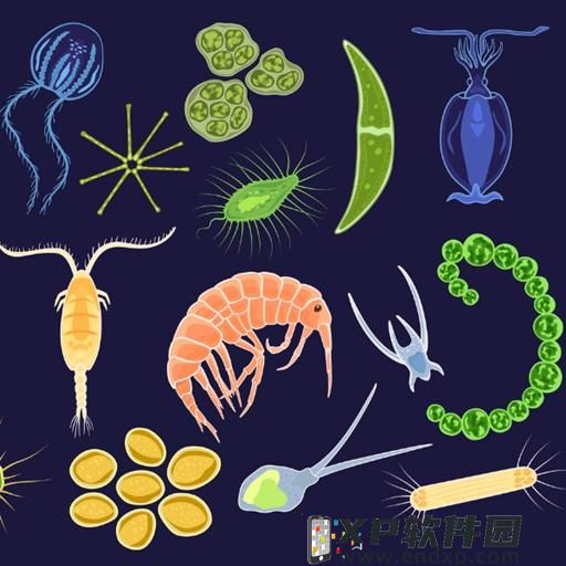 「TAMASHII POP UP SPOT限制快閃展现」台北登場！咒術迴戰S.H.F首度展现